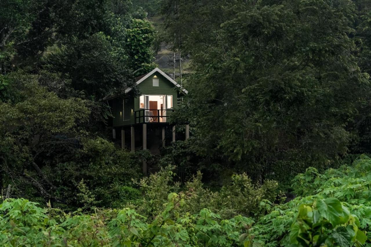Iron Bridge Cove Villa Meppadi Luaran gambar